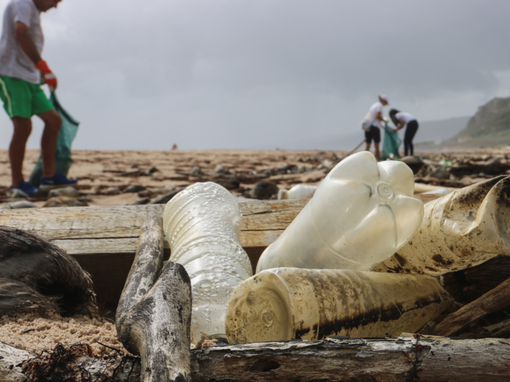 Head & Shoulders dizajnirao je bocu izrađenu od barem 25% reciklirane plastike s plaža diljem svijeta.