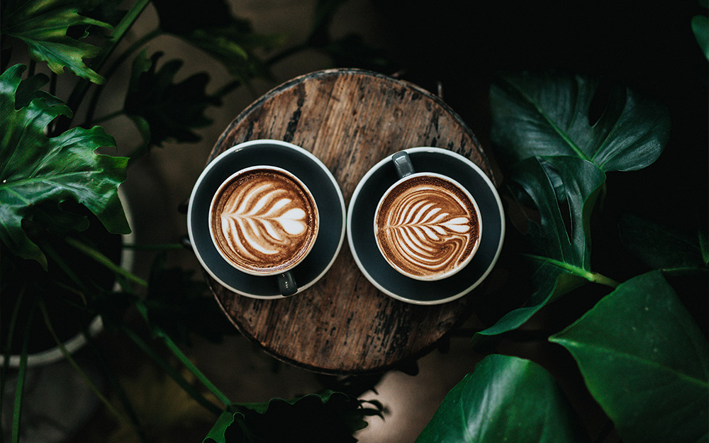Uz sve navedeno, redovita konzumacija kave povezana je i sa zdravljem mozga, krvožilnog sustava i jetre, a zanimljivo je i da je kava glavni izvor antioksidansa u zapadnom svijetu. 