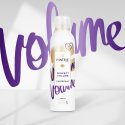 Proizvod Pantene Pro-V Perfect Volume – Lak za kosu s uljem jojobe, 250 ml brenda Pantene #3