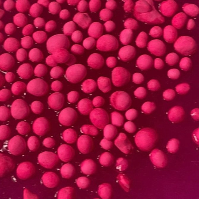 Proizvod Tuban slime DIY magični set XL - pink brenda Tuban