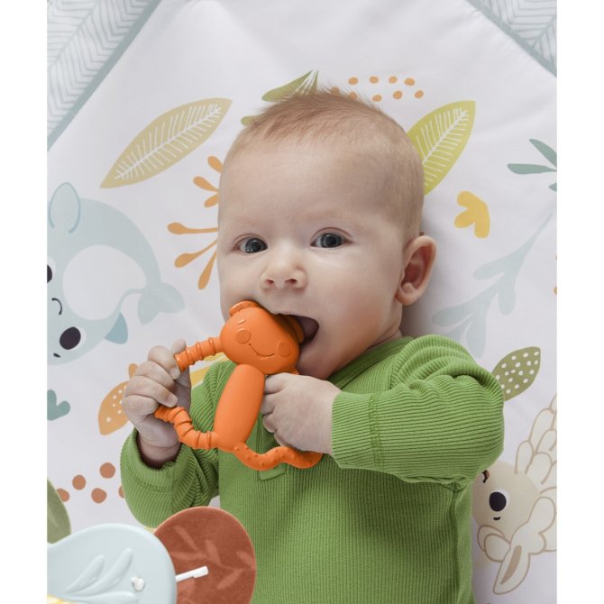 Proizvod Fisher-Price grickalica za zubiće brenda Fisher-Price